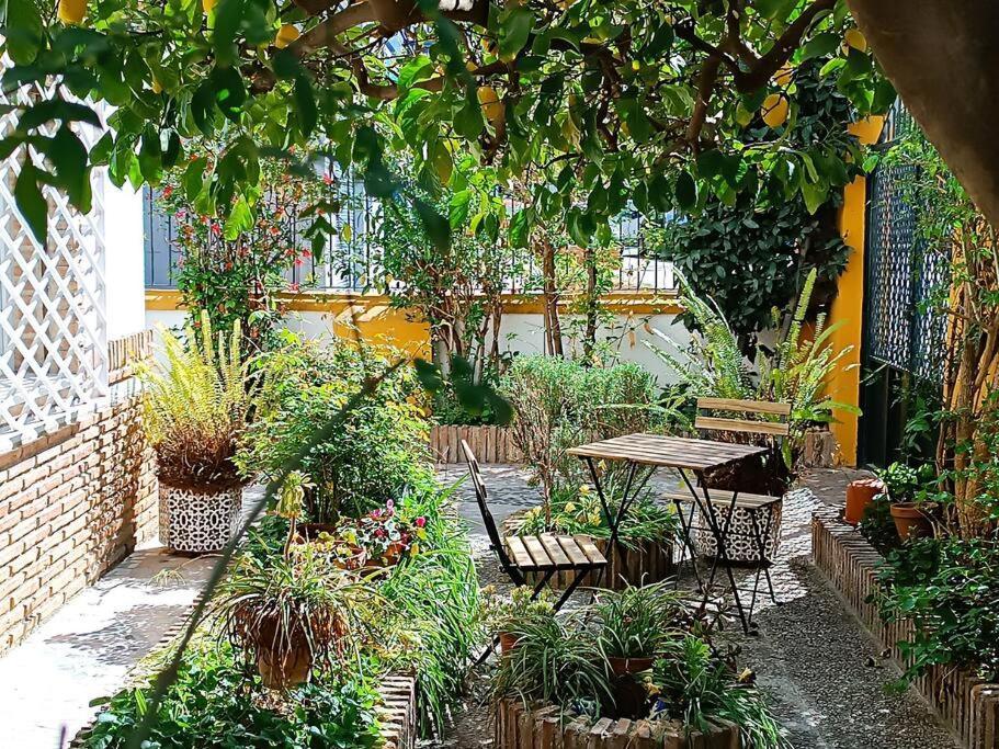 הוילה גרנדה Casa Limonero Con Parking Gratis Junto A Centro Historico מראה חיצוני תמונה