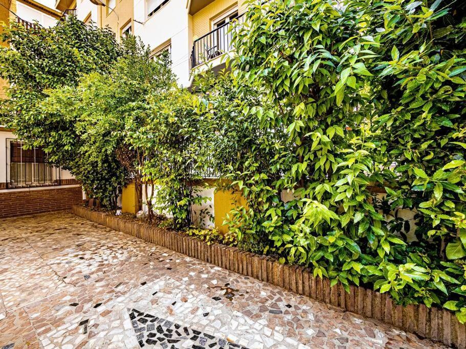 הוילה גרנדה Casa Limonero Con Parking Gratis Junto A Centro Historico מראה חיצוני תמונה