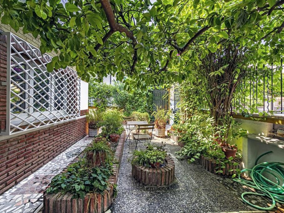 הוילה גרנדה Casa Limonero Con Parking Gratis Junto A Centro Historico מראה חיצוני תמונה