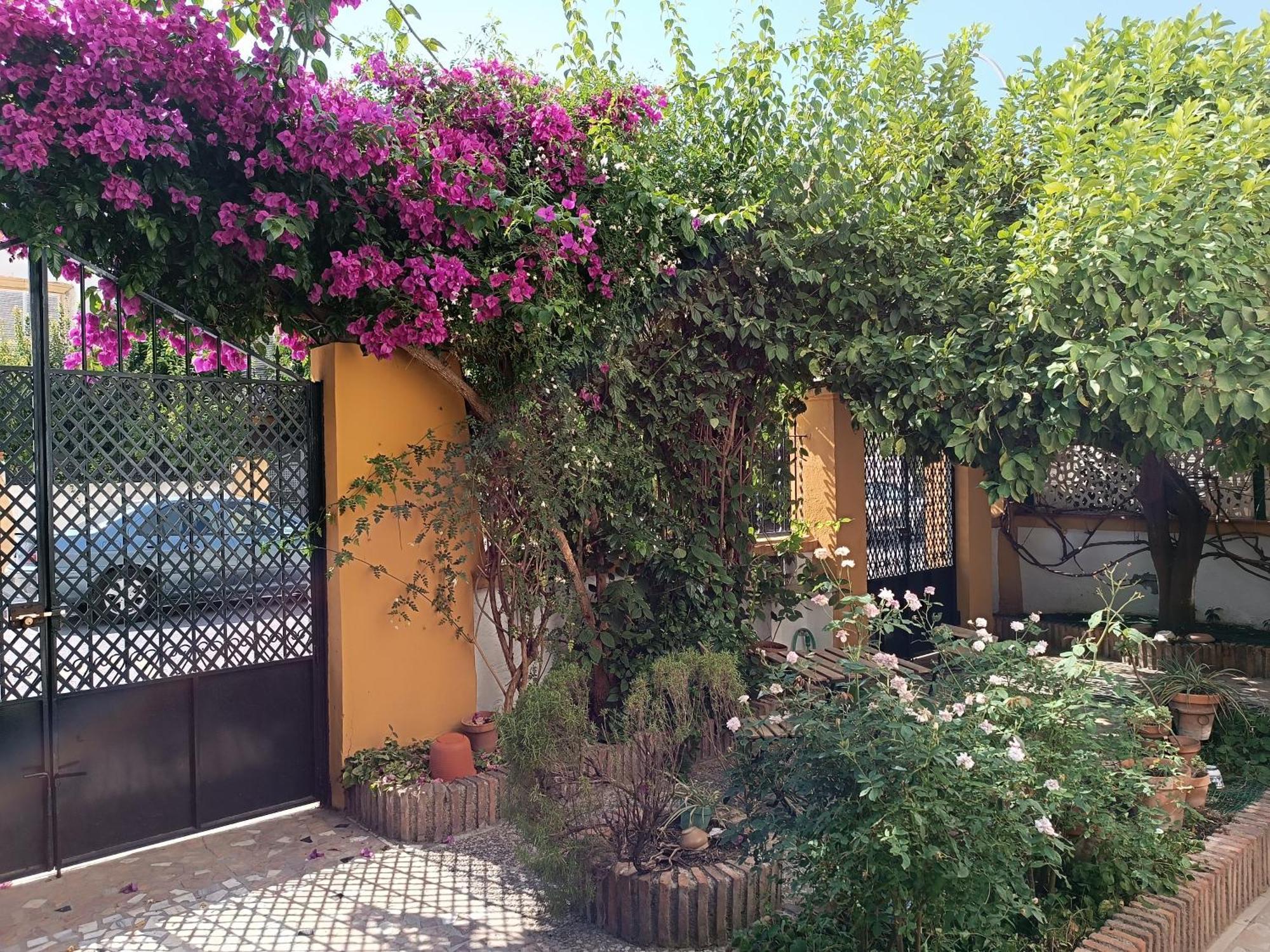 הוילה גרנדה Casa Limonero Con Parking Gratis Junto A Centro Historico מראה חיצוני תמונה